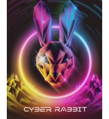 Cyber Rabbit Neon